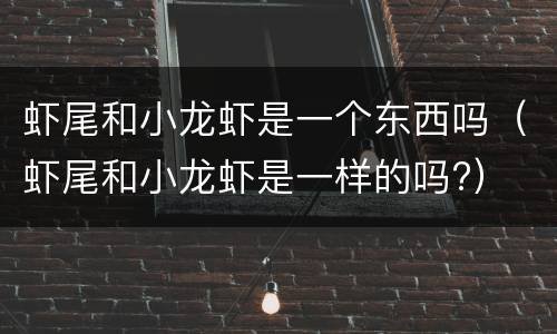 虾尾和小龙虾是一个东西吗（虾尾和小龙虾是一样的吗?）