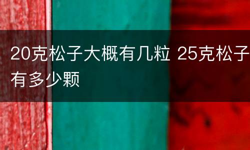 20克松子大概有几粒 25克松子有多少颗