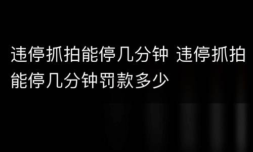 违停抓拍能停几分钟 违停抓拍能停几分钟罚款多少