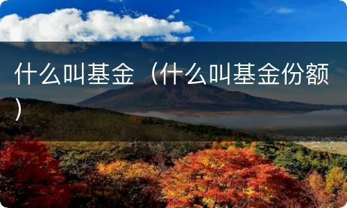 什么叫基金（什么叫基金份额）