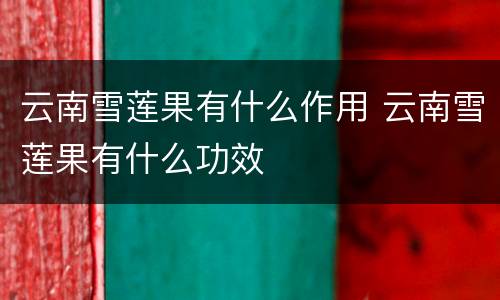 云南雪莲果有什么作用 云南雪莲果有什么功效