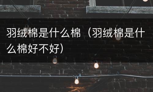 羽绒棉是什么棉（羽绒棉是什么棉好不好）