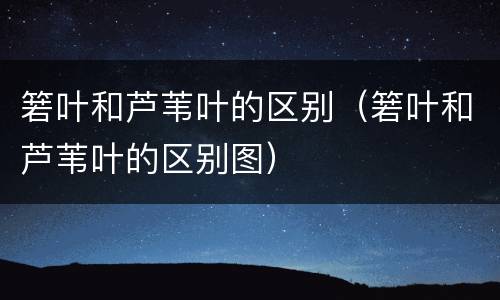 箬叶和芦苇叶的区别（箬叶和芦苇叶的区别图）