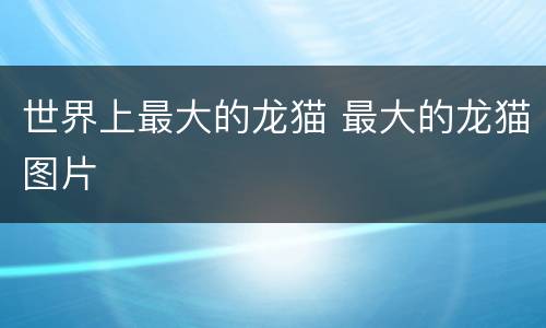 世界上最大的龙猫 最大的龙猫图片