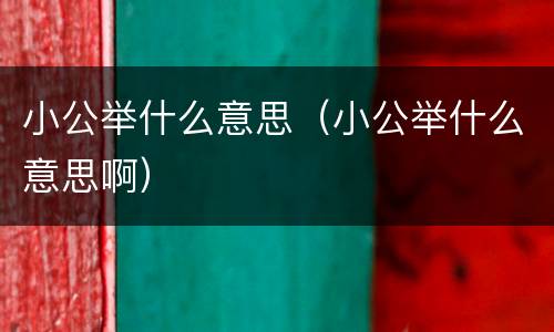 小公举什么意思（小公举什么意思啊）