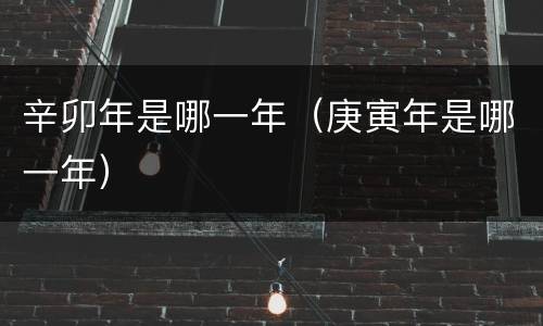 辛卯年是哪一年（庚寅年是哪一年）