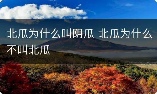 北瓜为什么叫阴瓜 北瓜为什么不叫北瓜