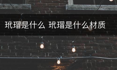 玳瑁是什么 玳瑁是什么材质