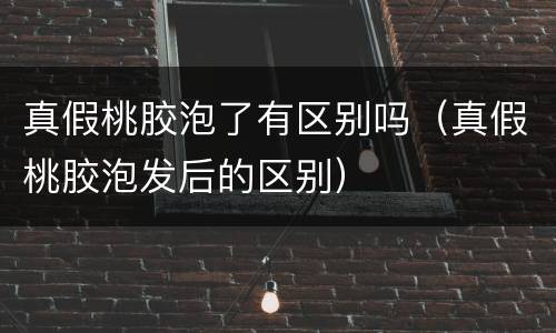 真假桃胶泡了有区别吗（真假桃胶泡发后的区别）