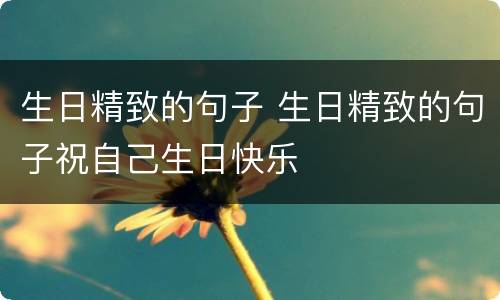 生日精致的句子 生日精致的句子祝自己生日快乐