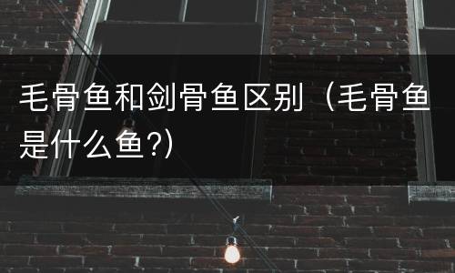 毛骨鱼和剑骨鱼区别（毛骨鱼是什么鱼?）