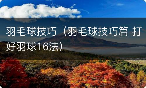 羽毛球技巧（羽毛球技巧篇 打好羽球16法）