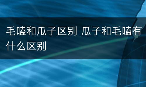 毛嗑和瓜子区别 瓜子和毛嗑有什么区别