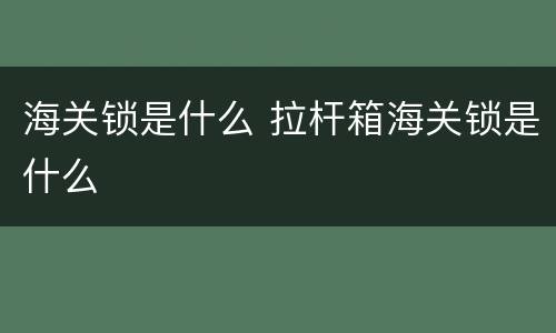 海关锁是什么 拉杆箱海关锁是什么