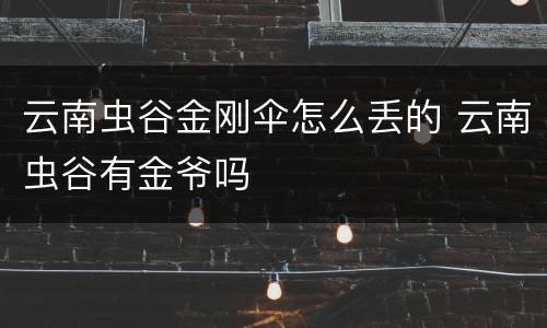 云南虫谷金刚伞怎么丢的 云南虫谷有金爷吗