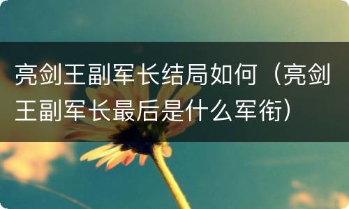 亮剑王副军长结局如何（亮剑王副军长最后是什么军衔）
