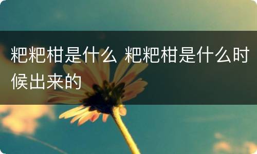 粑粑柑是什么 粑粑柑是什么时候出来的
