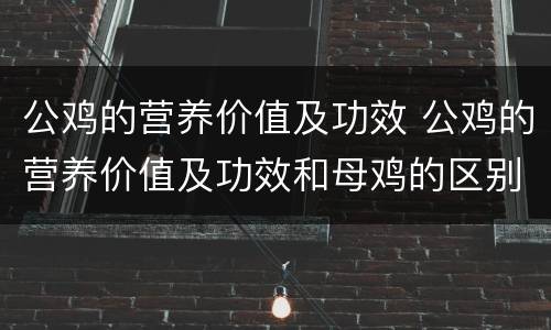 公鸡的营养价值及功效 公鸡的营养价值及功效和母鸡的区别