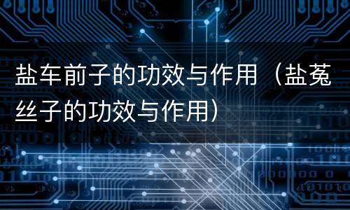 盐车前子的功效与作用（盐菟丝子的功效与作用）