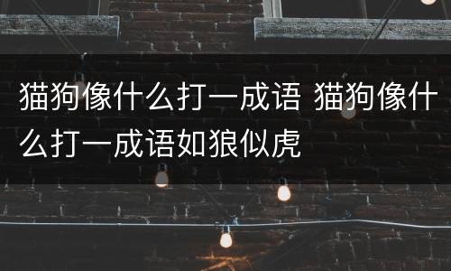 猫狗像什么打一成语 猫狗像什么打一成语如狼似虎