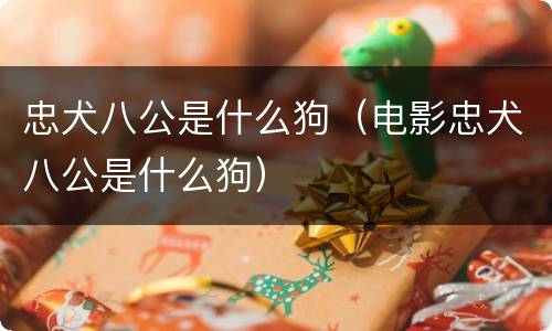 忠犬八公是什么狗（电影忠犬八公是什么狗）