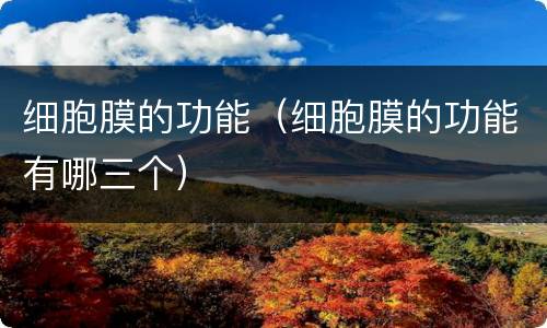 细胞膜的功能（细胞膜的功能有哪三个）