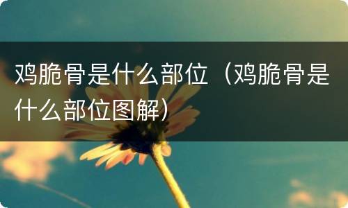 鸡脆骨是什么部位（鸡脆骨是什么部位图解）