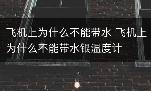 飞机上为什么不能带水 飞机上为什么不能带水银温度计