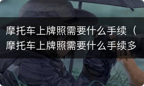 摩托车上牌照需要什么手续（摩托车上牌照需要什么手续多少钱南京）