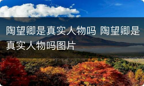 陶望卿是真实人物吗 陶望卿是真实人物吗图片