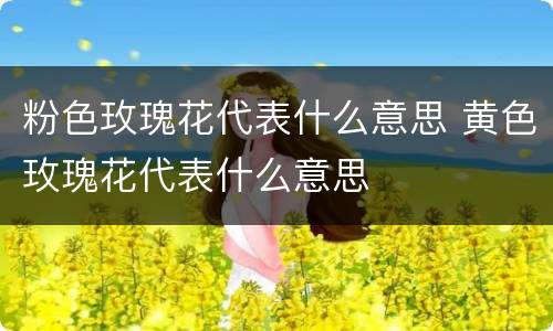 粉色玫瑰花代表什么意思 黄色玫瑰花代表什么意思