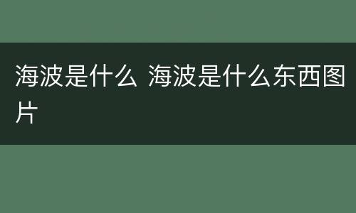 海波是什么 海波是什么东西图片