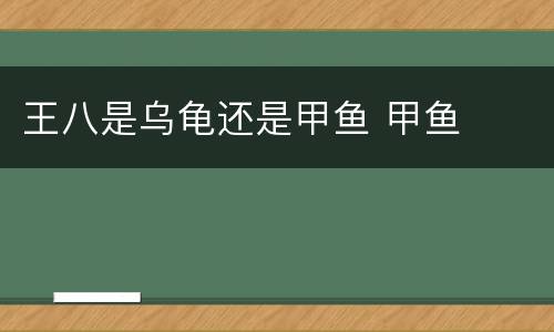 王八是乌龟还是甲鱼 甲鱼