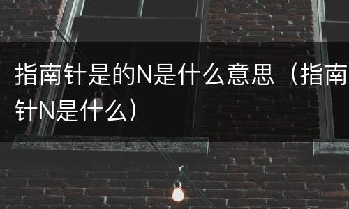 指南针是的N是什么意思（指南针N是什么）