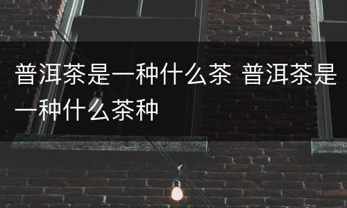 普洱茶是一种什么茶 普洱茶是一种什么茶种