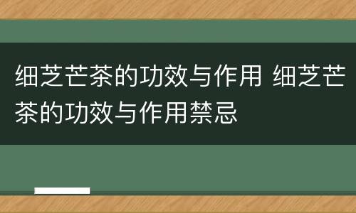 细芝芒茶的功效与作用 细芝芒茶的功效与作用禁忌