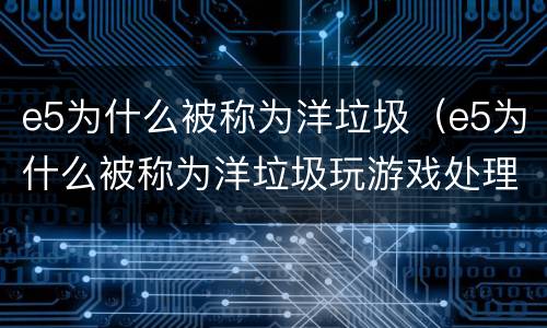 e5为什么被称为洋垃圾（e5为什么被称为洋垃圾玩游戏处理器用至强系列还是酷睿）