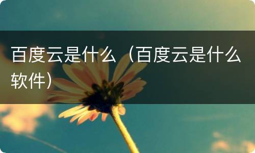 百度云是什么（百度云是什么软件）