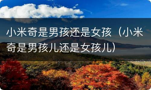 小米奇是男孩还是女孩（小米奇是男孩儿还是女孩儿）