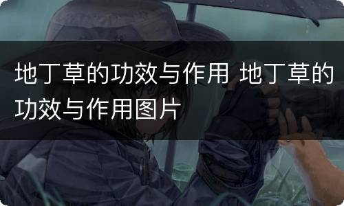 地丁草的功效与作用 地丁草的功效与作用图片