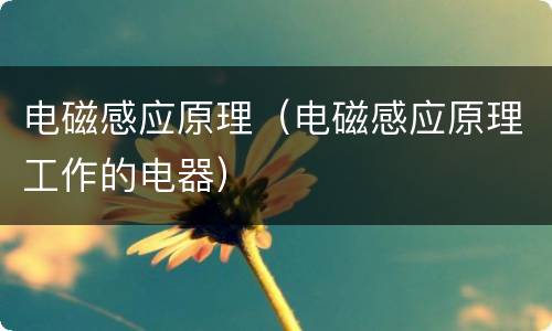 电磁感应原理（电磁感应原理工作的电器）