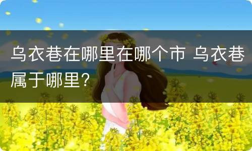 乌衣巷在哪里在哪个市 乌衣巷属于哪里?