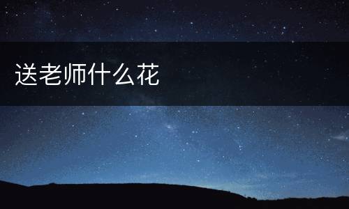 送老师什么花