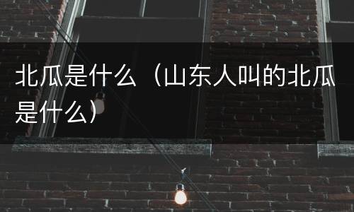 北瓜是什么（山东人叫的北瓜是什么）