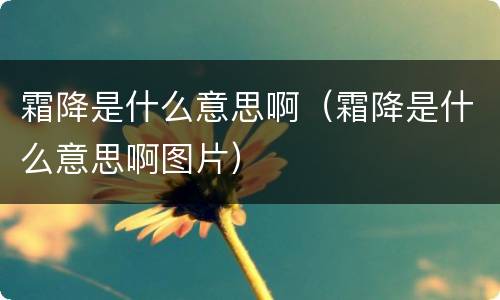 霜降是什么意思啊（霜降是什么意思啊图片）