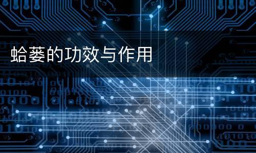 蛤蒌的功效与作用