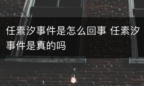 任素汐事件是怎么回事 任素汐事件是真的吗