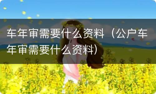 车年审需要什么资料（公户车年审需要什么资料）