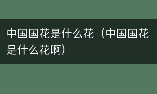 中国国花是什么花（中国国花是什么花啊）