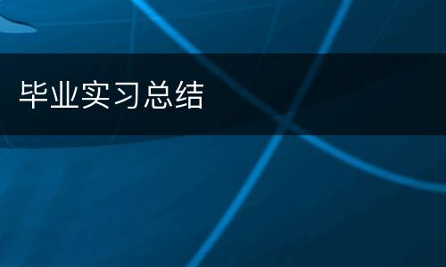 毕业实习总结